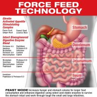 MuscleMeds Feast Mode - Image 3