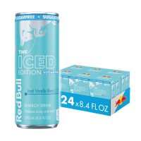 Red Bull Winter Edition Sugarfree Energy RTD
