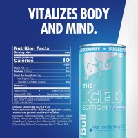 Red Bull Winter Edition Sugarfree Energy RTD - Image 3