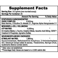 APS Mesomorph - Image 2