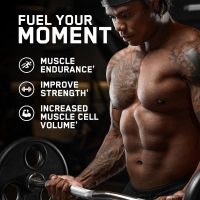 AN Supps Creatine - Image 3