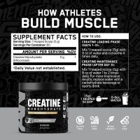 AN Supps Creatine - Image 5