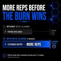 Allmax Beta alanine - Image 4