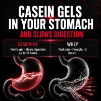Allmax Casein-Fx - Image 3