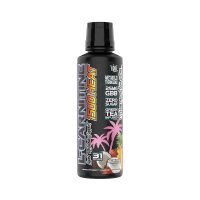 VMI Sports L-Carnitine HEAT 1500 Liquid